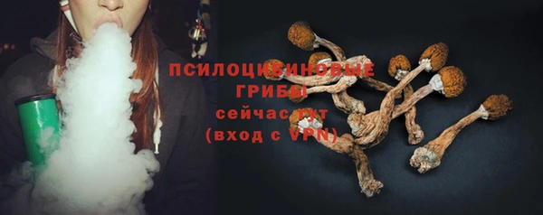 СК Медвежьегорск