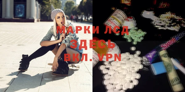 крисы Надым
