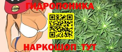 мескалин Аргун