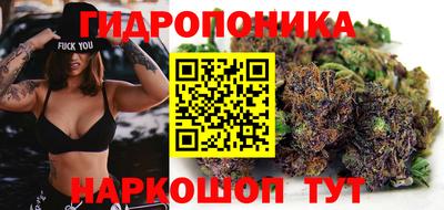 ECSTASY Гатчина