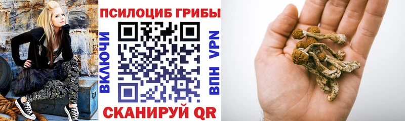 МЕГА рабочий сайт  купить наркотик  Кашира  Псилоцибиновые грибы GOLDEN TEACHER 