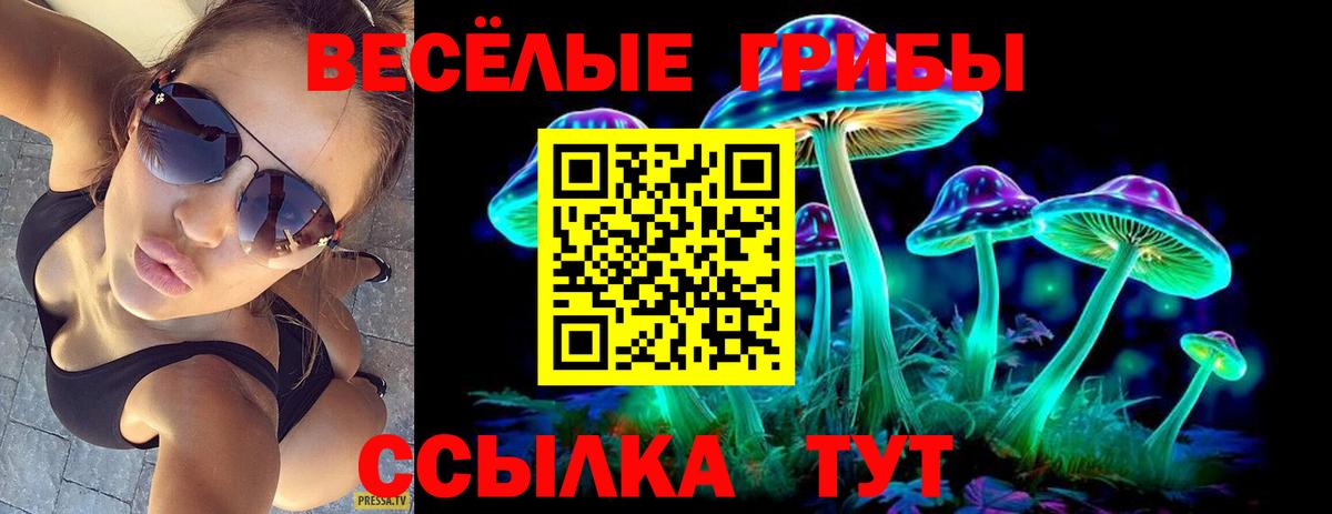 Псилоцибиновые грибы Psilocybe Кашира