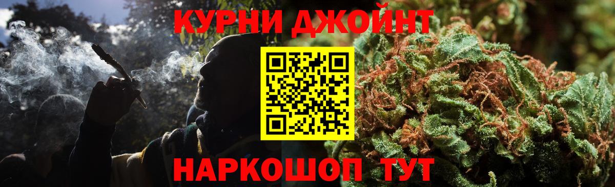 МЕФ Кашира